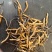 那曲冬虫夏草精选小草
