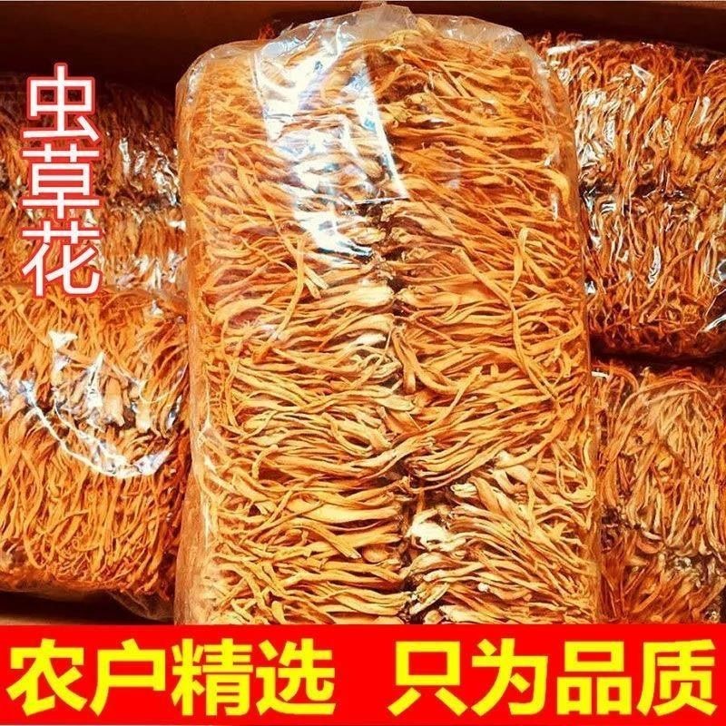 虫草花干货批发蛹虫草北虫草