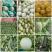 玉菇甜瓜冰激凌玉菇白瓜大量有货产地直发新鲜采摘代收