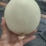 玉菇甜瓜冰激凌玉菇白瓜大量有货产地直发新鲜采摘代收