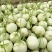 玉菇甜瓜冰激凌玉菇白瓜大量有货产地直发新鲜采摘代收