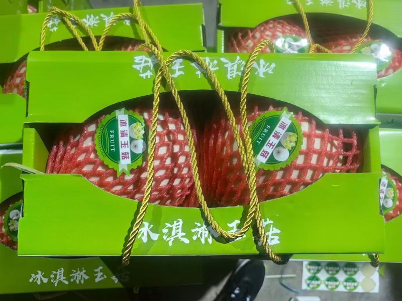 玉菇甜瓜冰激凌玉菇白瓜大量有货产地直发新鲜采摘代收