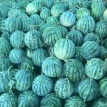 麒麟二茬