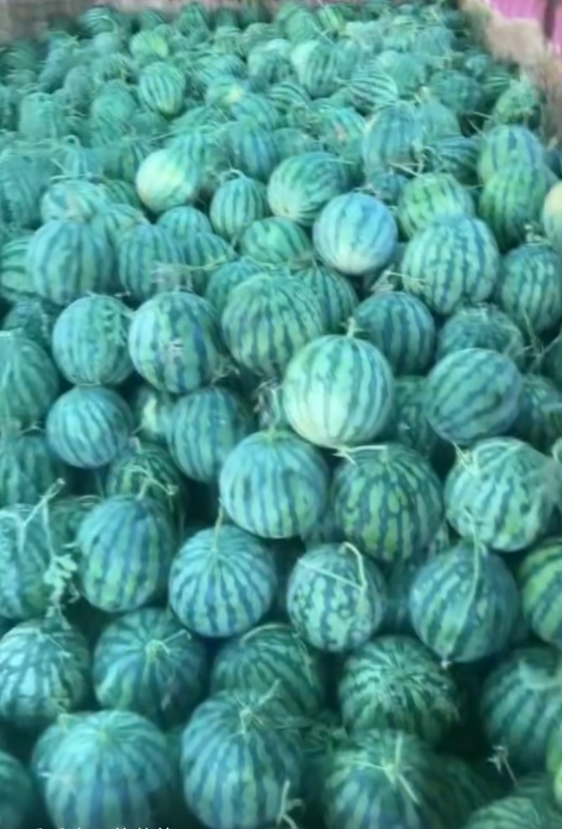 麒麟二茬