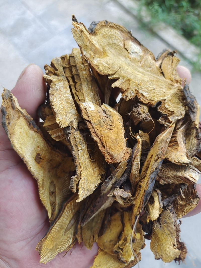 批发中药材虎杖，存野生虎杖，无硫产地直发长期供货价格便宜