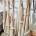 【鲜牛肚】厂家供货货量大新鲜日期全国接单承接餐饮加工批发