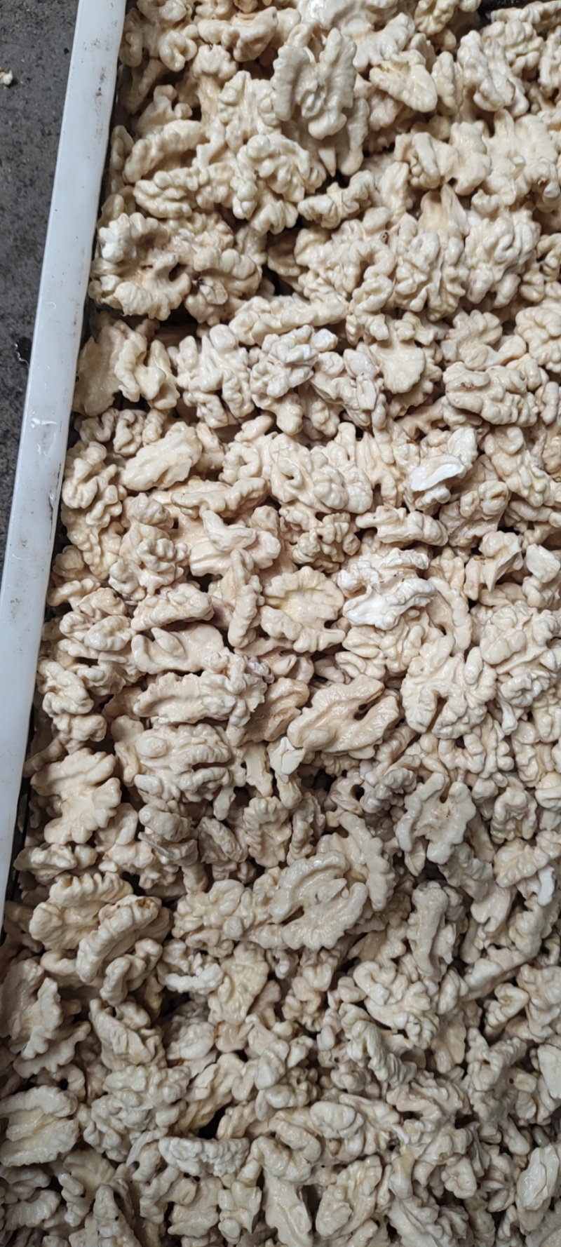 新鲜上市！新疆185核桃仁，营养丰富，口感鲜美，**特惠！