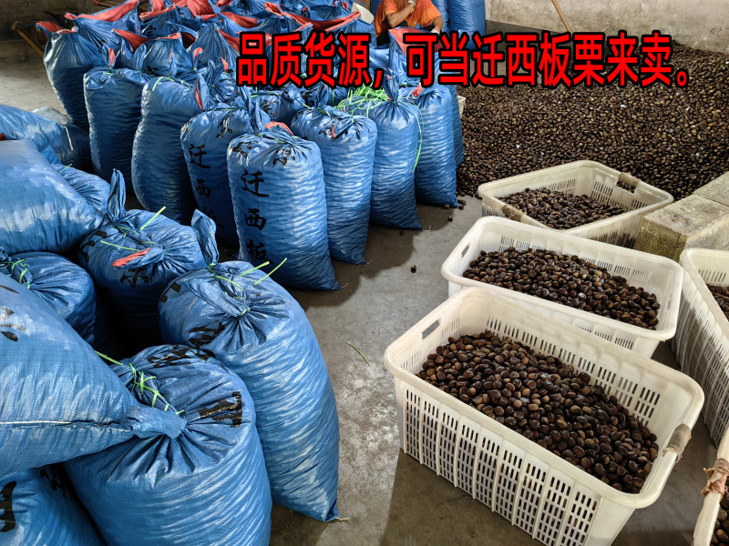 沂蒙山板栗油栗子炒锅栗子加工厂栗子