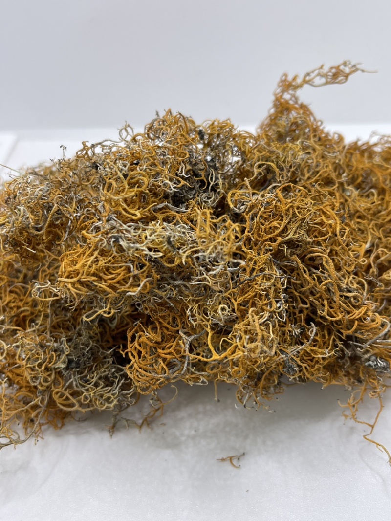 西藏高山货金丝红雪茶纯野生