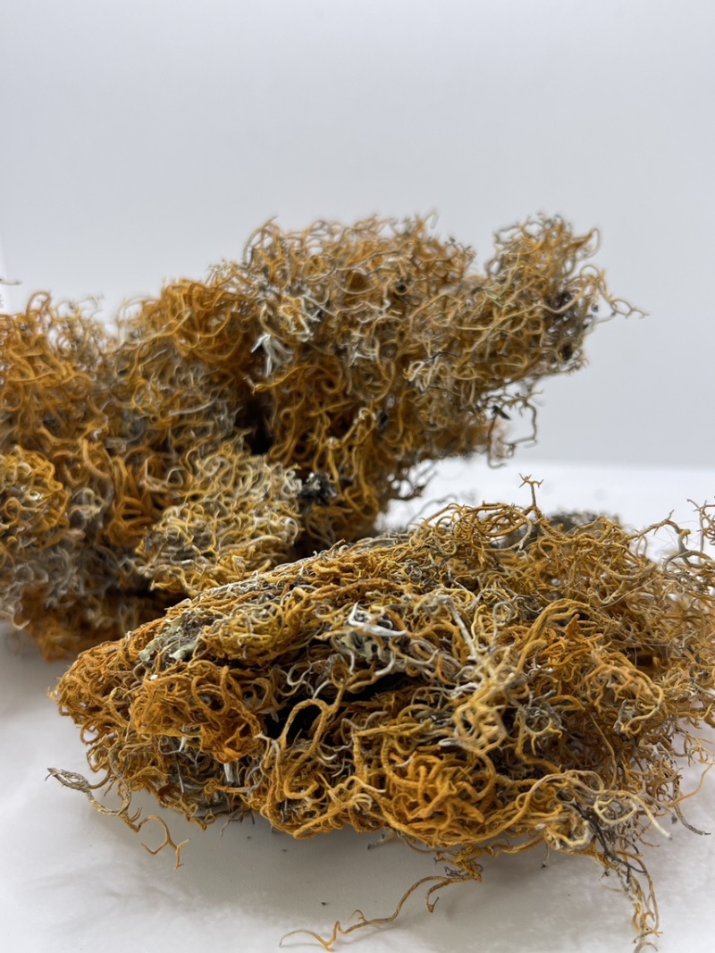 西藏高山货金丝红雪茶纯野生
