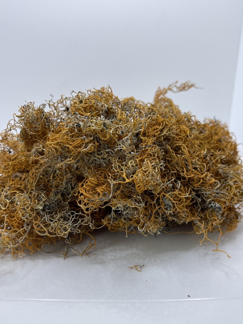 西藏高山货金丝红雪茶纯野生
