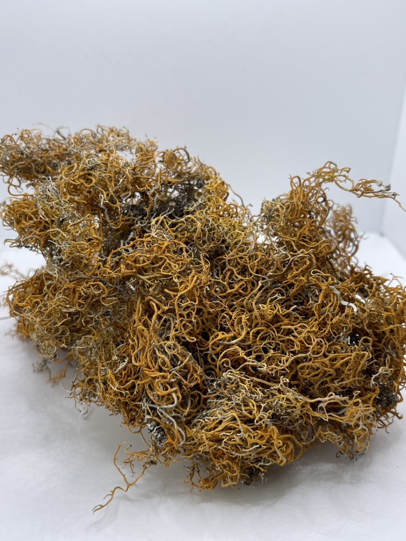 西藏高山货金丝红雪茶纯野生