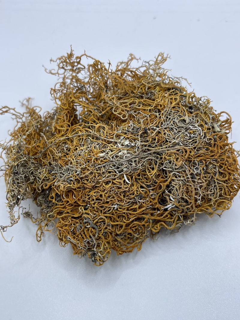 西藏高山货金丝红雪茶纯野生
