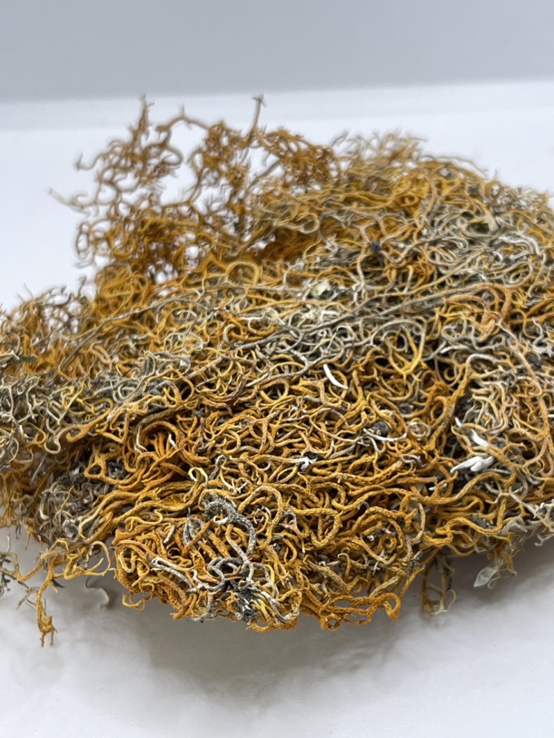 西藏高山货金丝红雪茶纯野生
