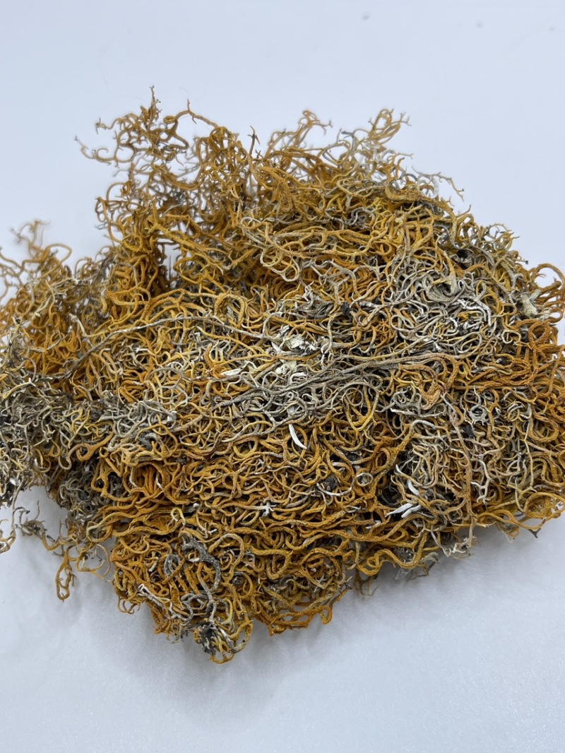 西藏高山货金丝红雪茶纯野生
