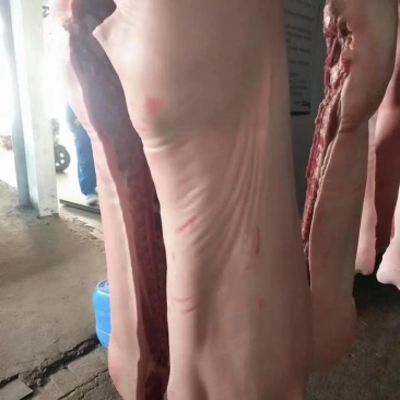 猪肉猪白条自有工厂保质保量诚信经营欢迎选购