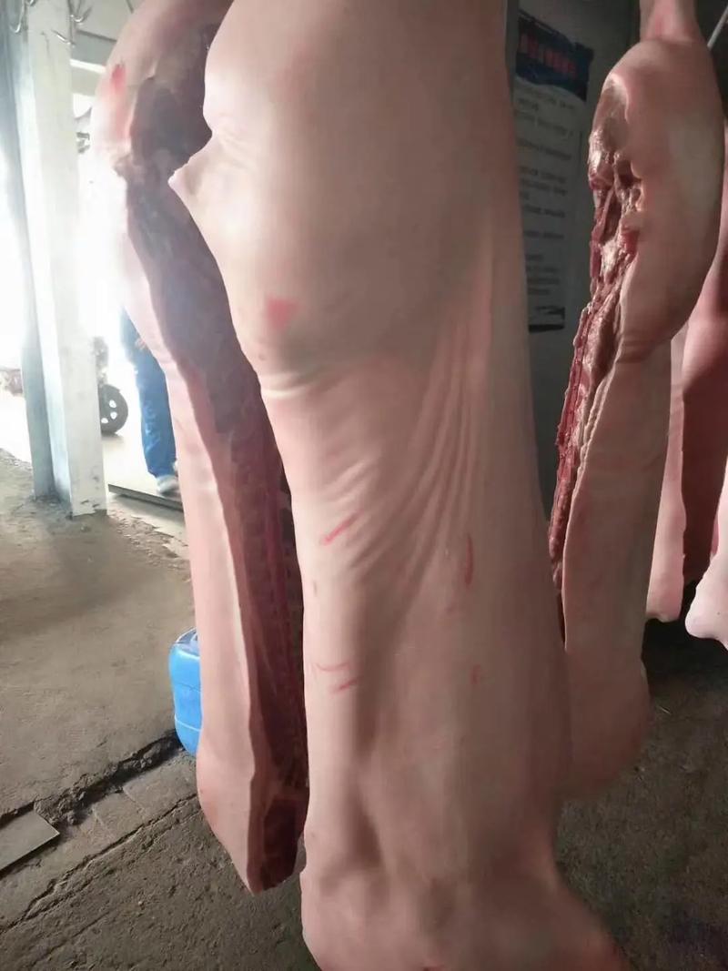 猪肉猪白条自有工厂保质保量诚信经营欢迎选购
