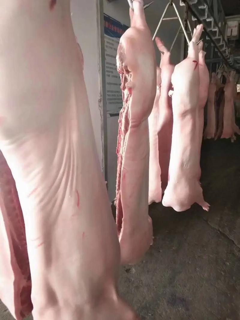 猪肉猪白条自有工厂保质保量诚信经营欢迎选购