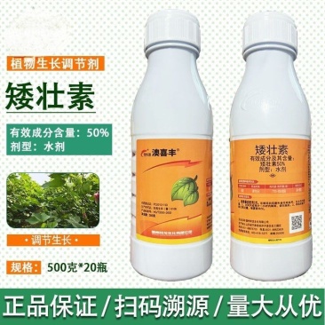 澳喜丰50%矮壮素防止棉花疯长徒长控旺矮化植物生长调节剂