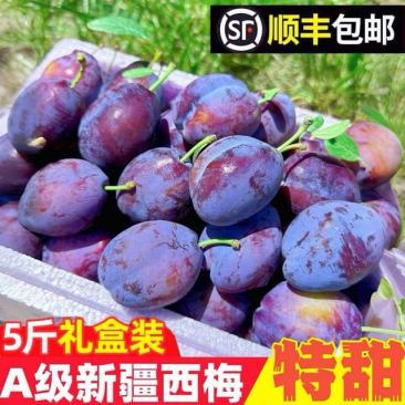 电商一件代发新疆西梅顺丰包邮品质保证