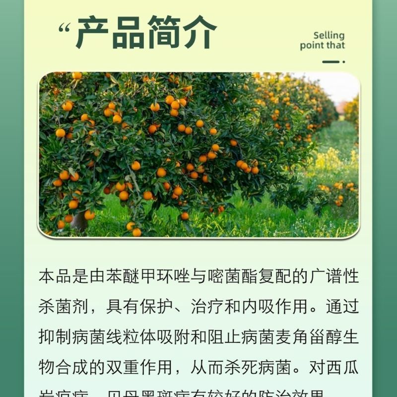 禾本妙收32.5%苯甲嘧菌酯农药杀菌剂水稻纹枯病农用杀菌