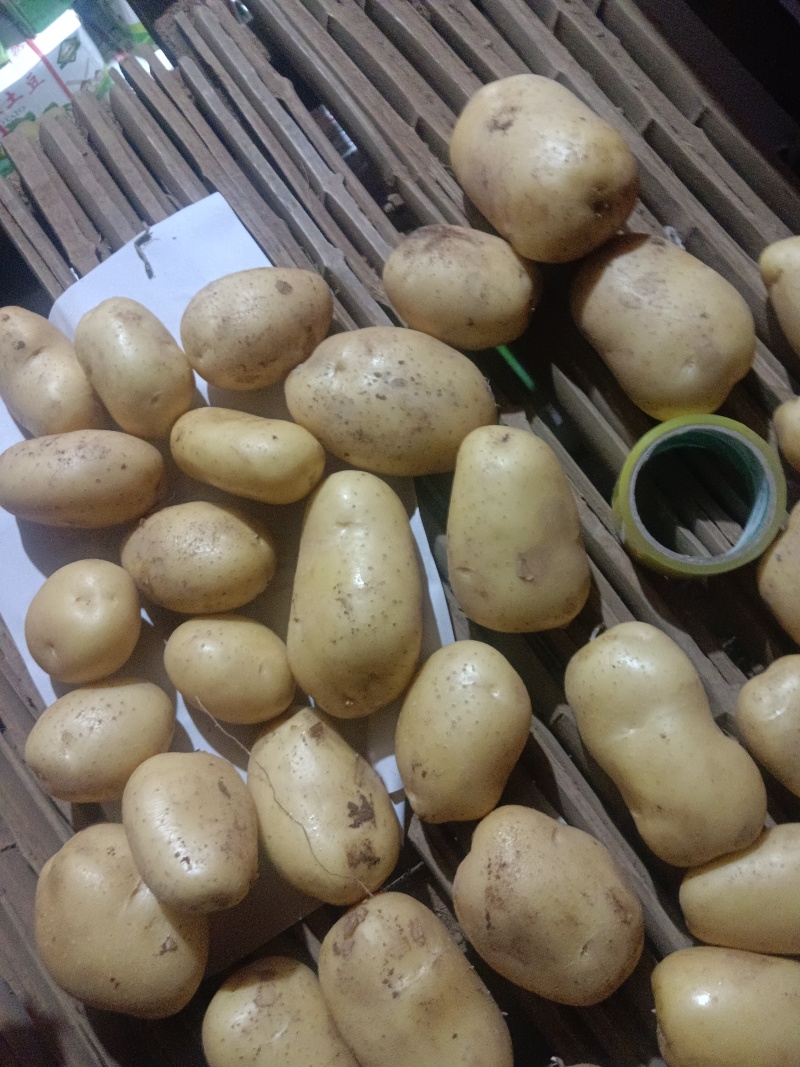 内蒙大沃土，土豆品种齐全，物美价廉，诚信经营，可视频看货