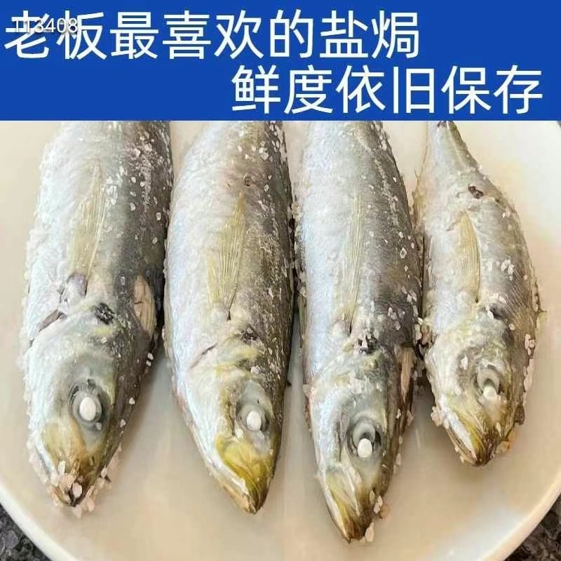 巴浪鱼，池鱼