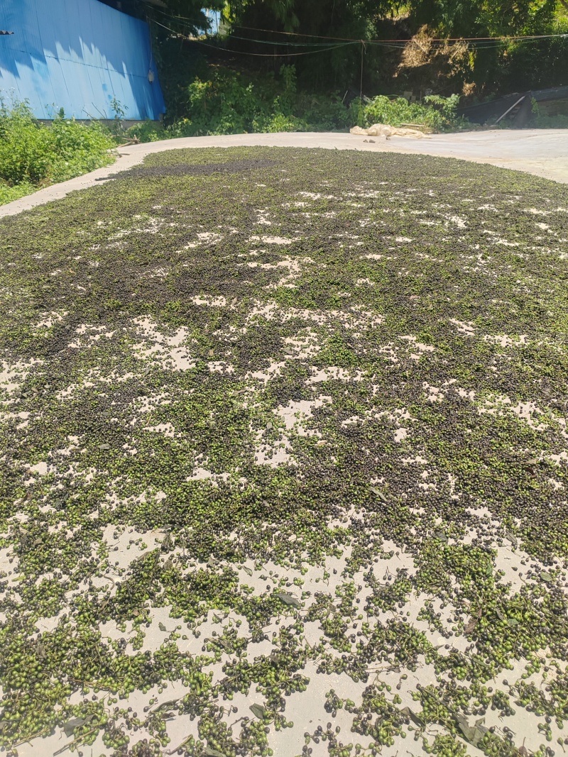 木姜子云南产地直供，，货量充足，全国无死角代收代卖，