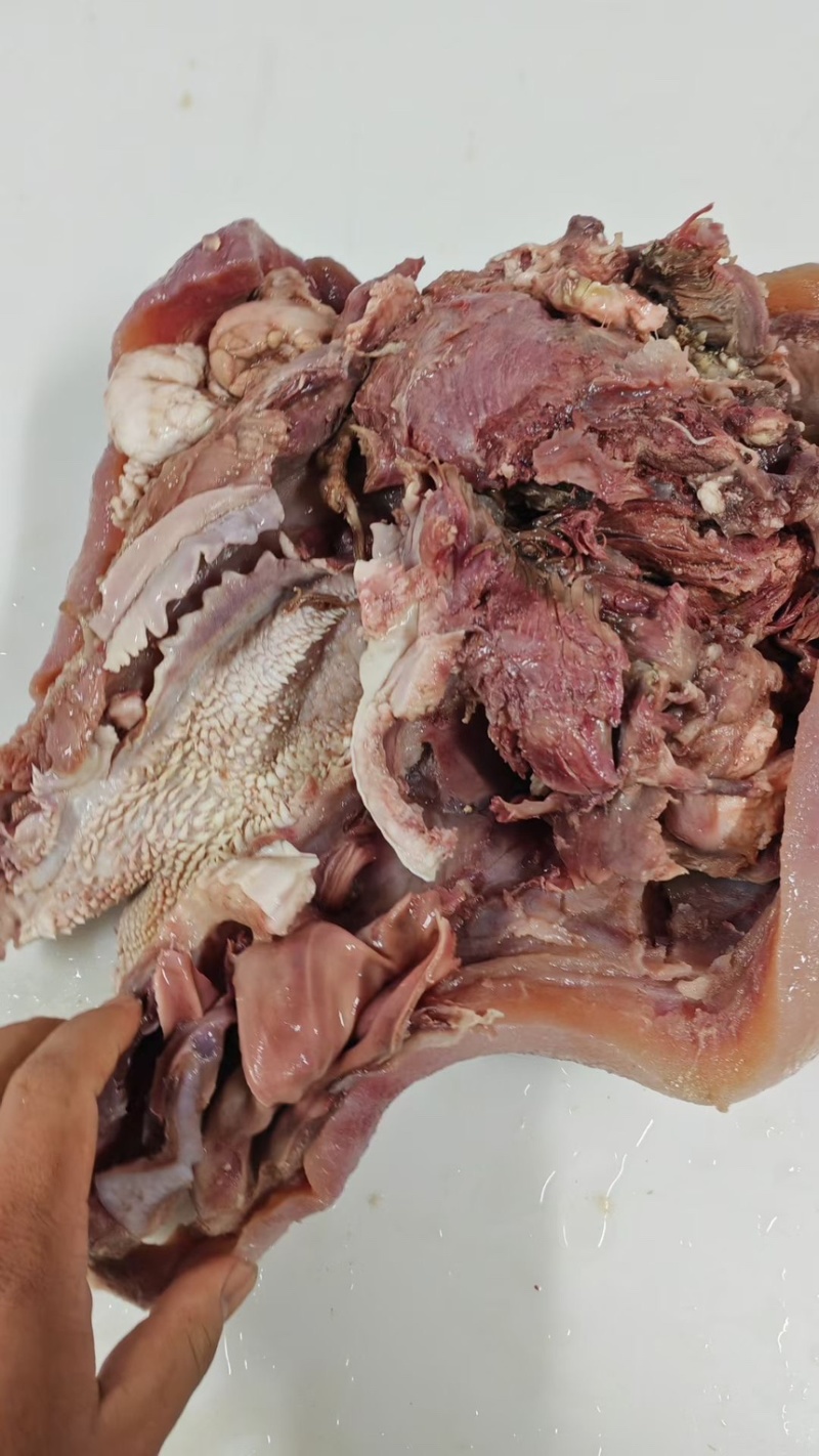 全熟水采毛牛头肉熟度高质量好好价格低源头好货天天有