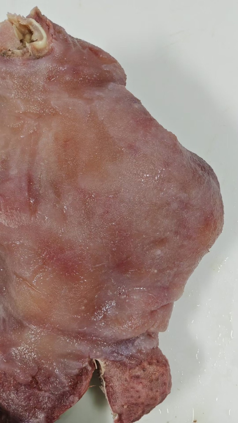 全熟水采毛牛头肉熟度高质量好好价格低源头好货天天有