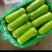 推荐瓠子瓠瓜精品，一手货源现货量大可供海底捞大型餐饮商超