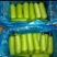 推荐瓠子瓠瓜精品，一手货源现货量大可供海底捞大型餐饮商超