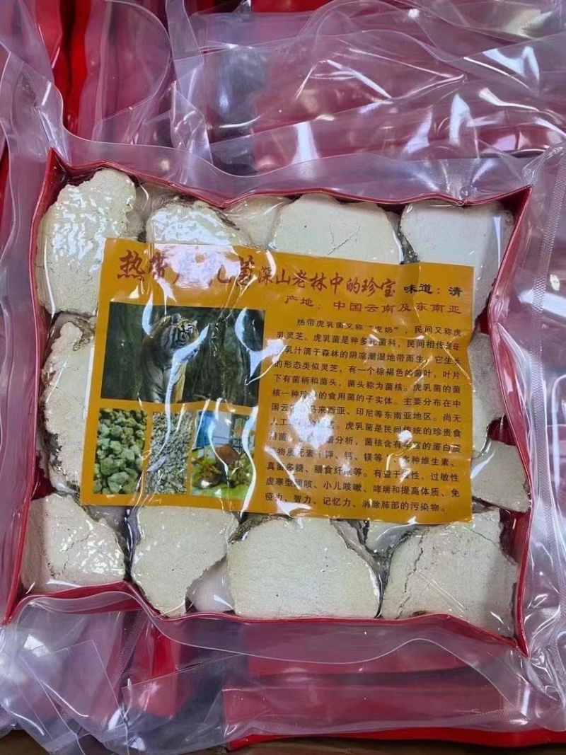虎乳菌【马来西亚特产】气肺**
