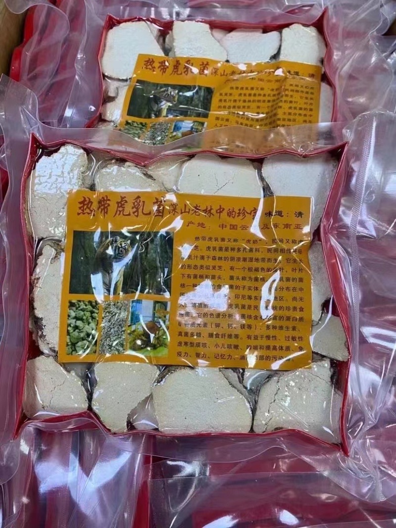 虎乳菌【马来西亚特产】气肺**