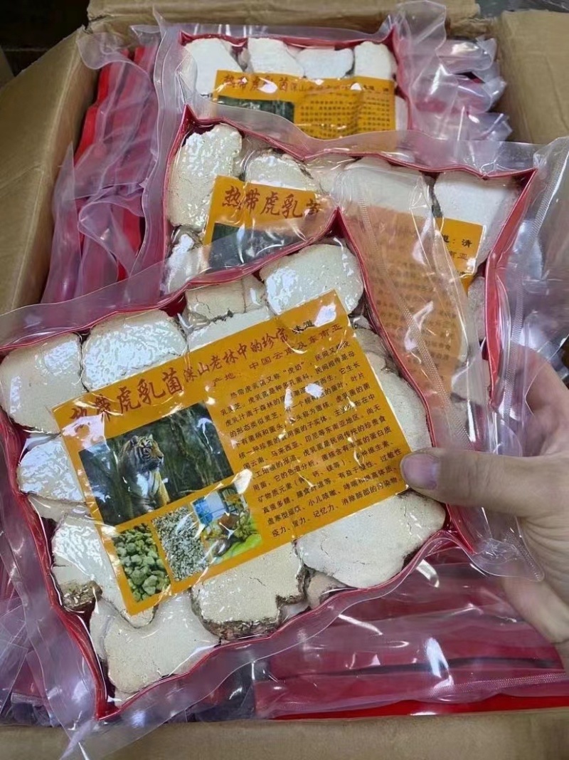 虎乳菌【马来西亚特产】气肺**