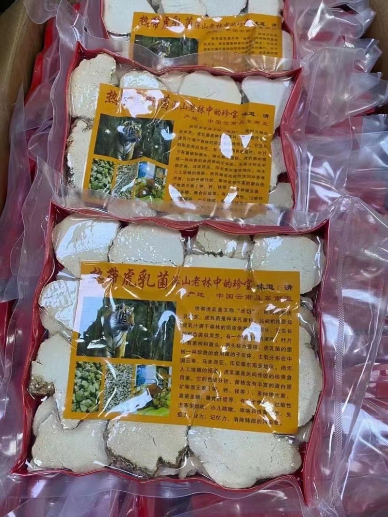 虎乳菌【马来西亚特产】气肺**