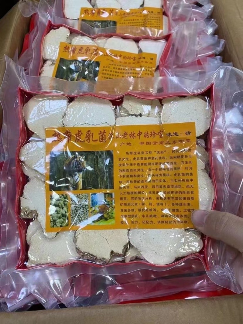 虎乳菌【马来西亚特产】气肺**