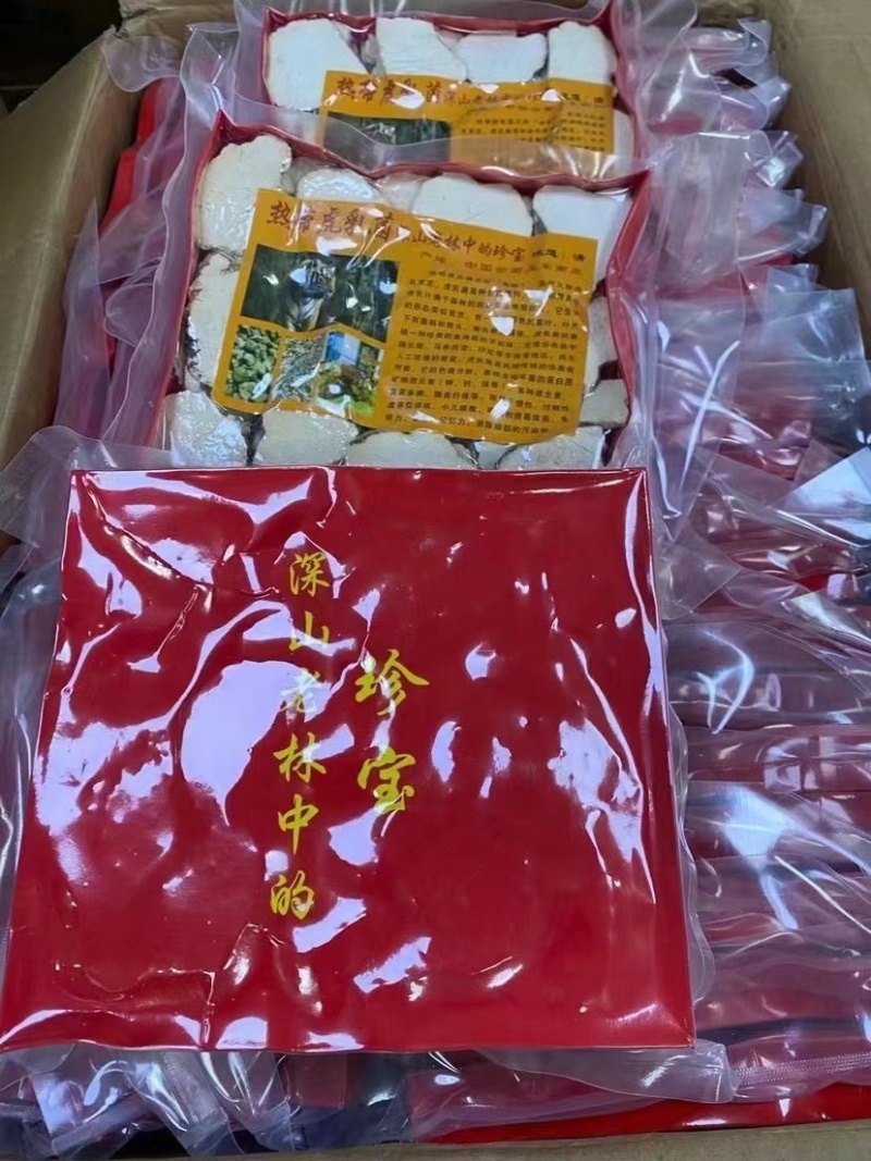 虎乳菌【马来西亚特产】气肺**