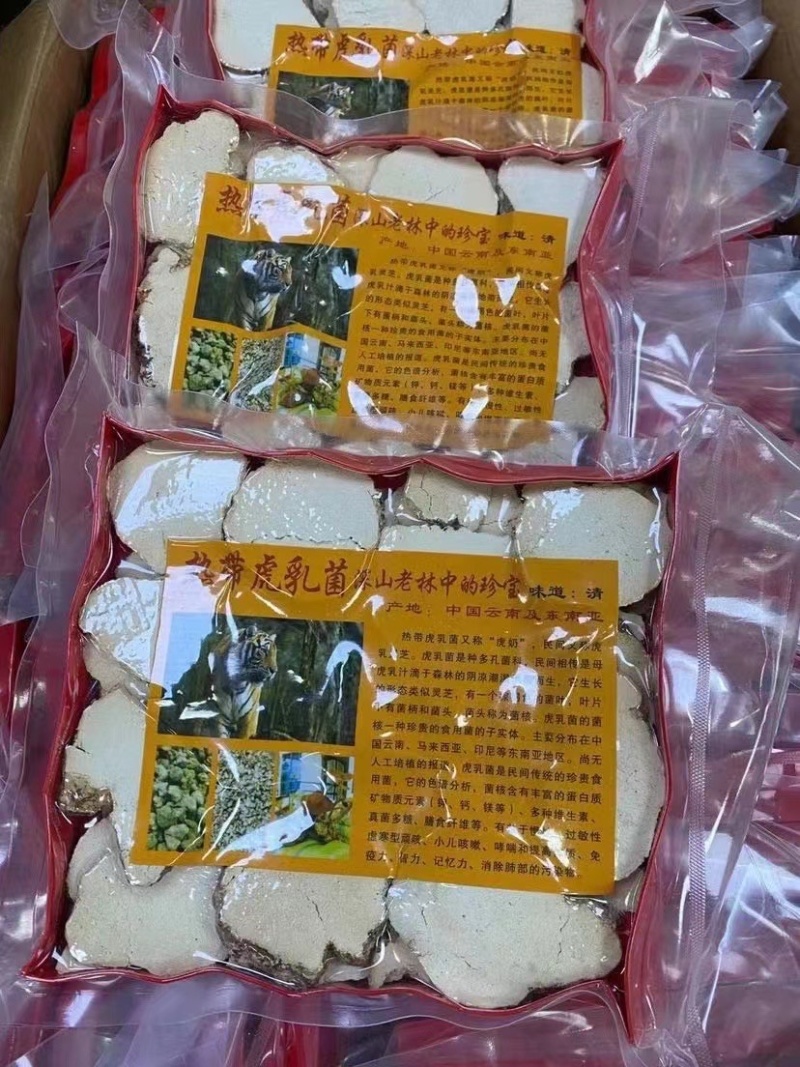 虎乳菌【马来西亚特产】气肺**