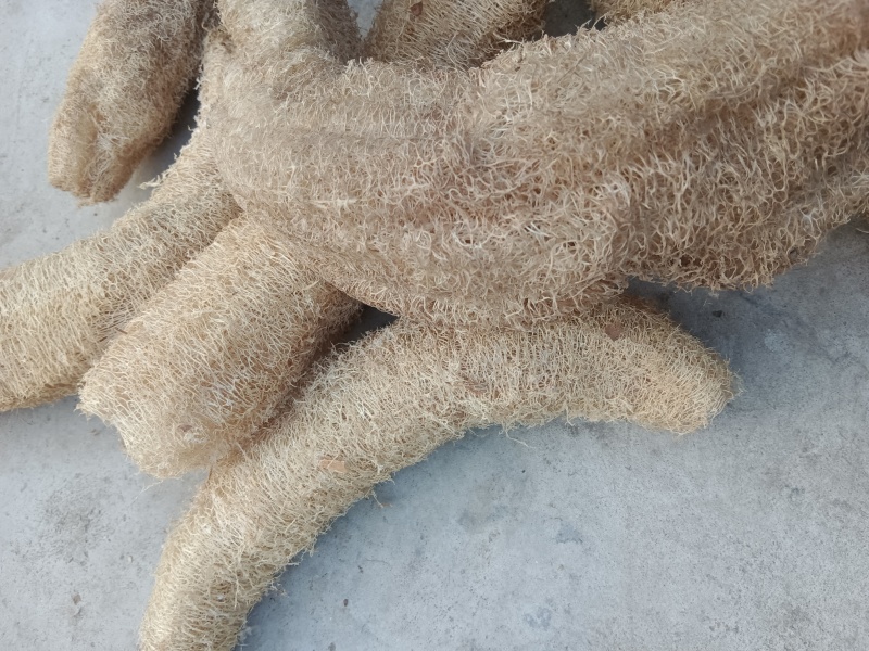 丝瓜络