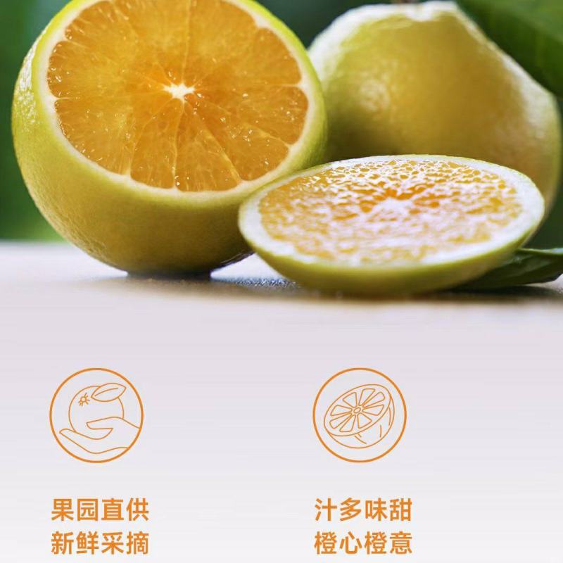 海南澄迈县福橙即将大量上市出货，可提前订货，产地发货！