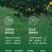 海南澄迈县福橙全国发货一手货源批发品质保证价格美丽