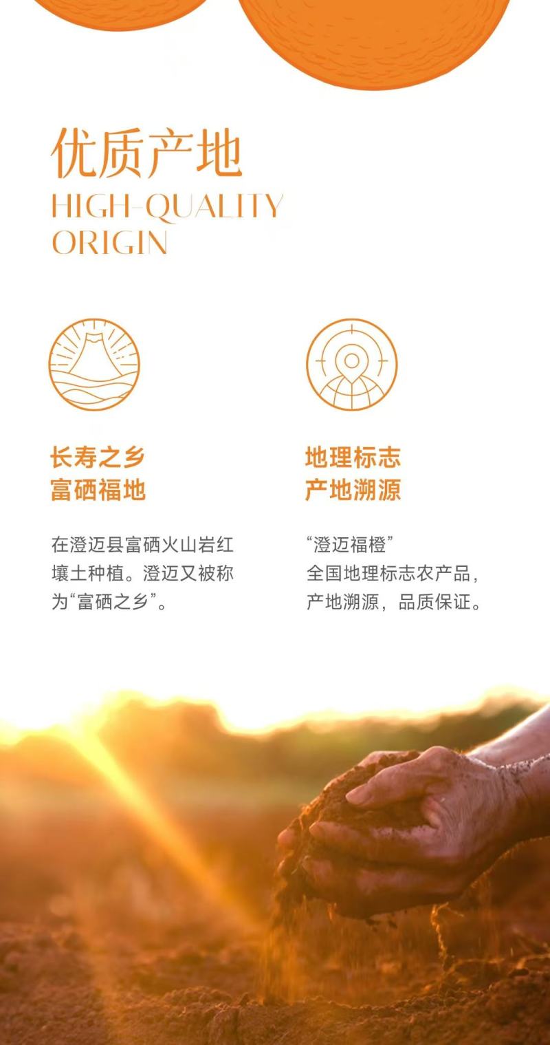 海南澄迈县福橙全国发货一手货源批发品质保证价格美丽
