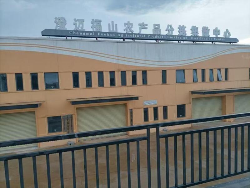 海南澄迈福橙规格多样产地发货一手货源批发全国代发