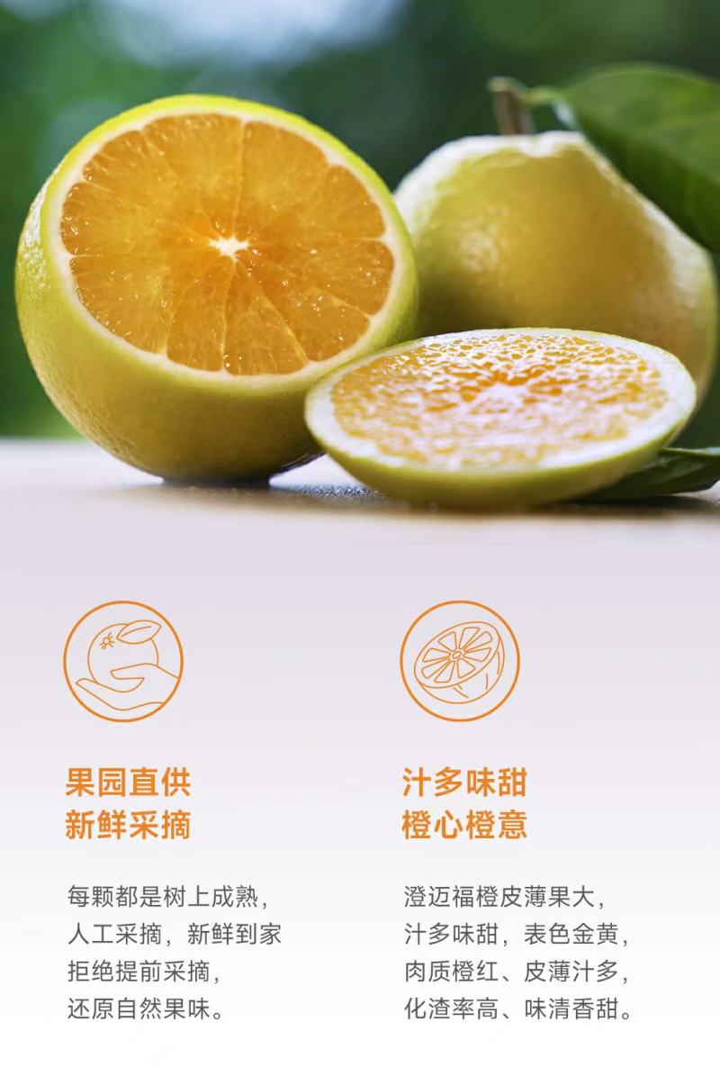 海南澄迈福橙规格多样产地发货一手货源批发全国代发