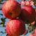 乔纳金苹果现货现发对接全国市场，全网电商，社区团购平台