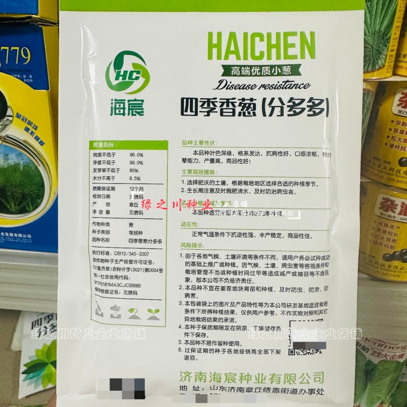 四季香葱种子分多多葱种子优质种籽抗倒伏葱白硬葱叶深