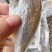 黄花鱼地摊批发电商黄花鱼干干黄花鱼鱼干干鱼