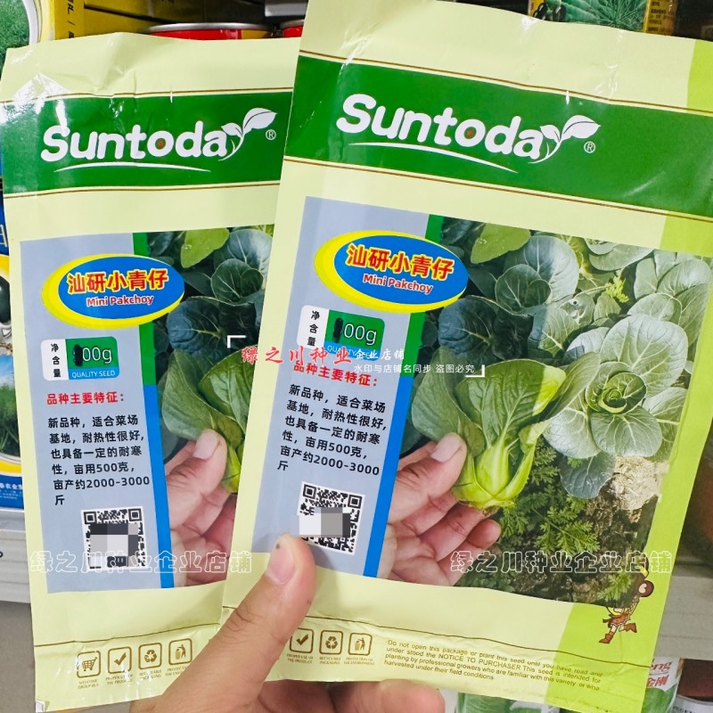 宁夏青菜种子小型上海青小青仔种子软糯清甜小青菜种子小油菜