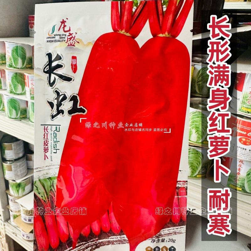 耐寒长虹萝卜种子耐低温红皮萝卜种子满身红萝卜种子春秋冬